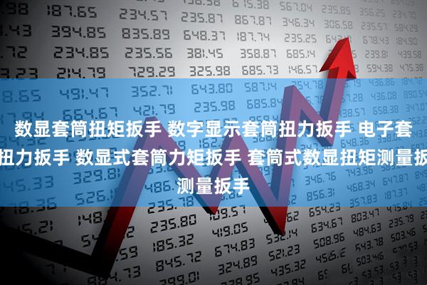 数显套筒扭矩扳手 数字显示套筒扭力扳手 电子套筒扭力扳手 数显式套筒力矩扳手 套筒式数显扭矩测量扳手
